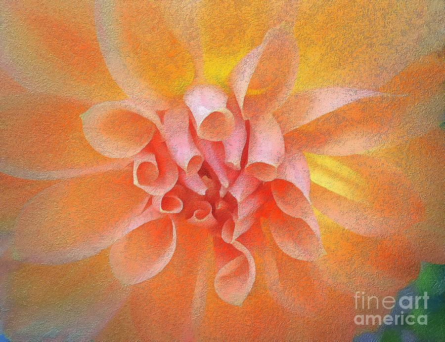Orange Dahlia with an Inner Glow Photograph by Sea Change Vibes
