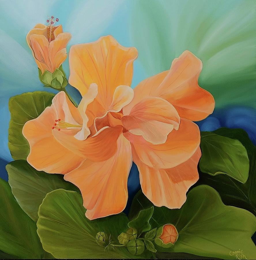 Orange Double Hybiscus Painting by Connie Rish