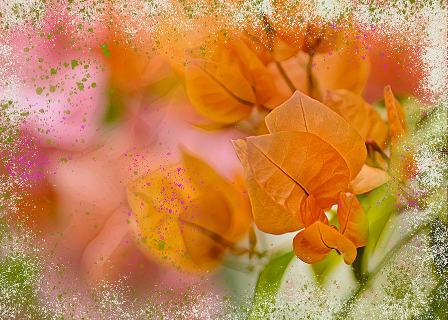 Orange Flower Abstract Digital Art by Cordia Murphy