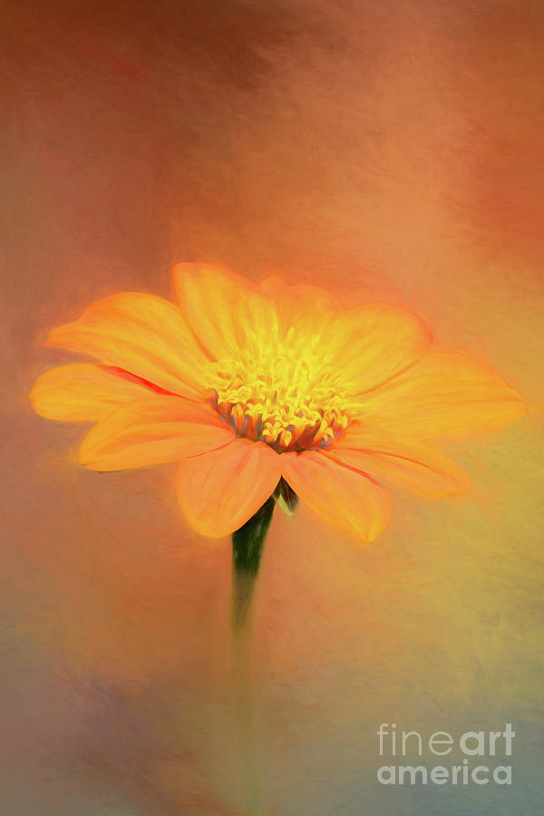 Orange Flower Mixed Media by Ed Taylor