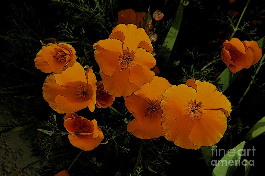 Orange Flowers 3 Photograph by Jean Bernard Roussilhe