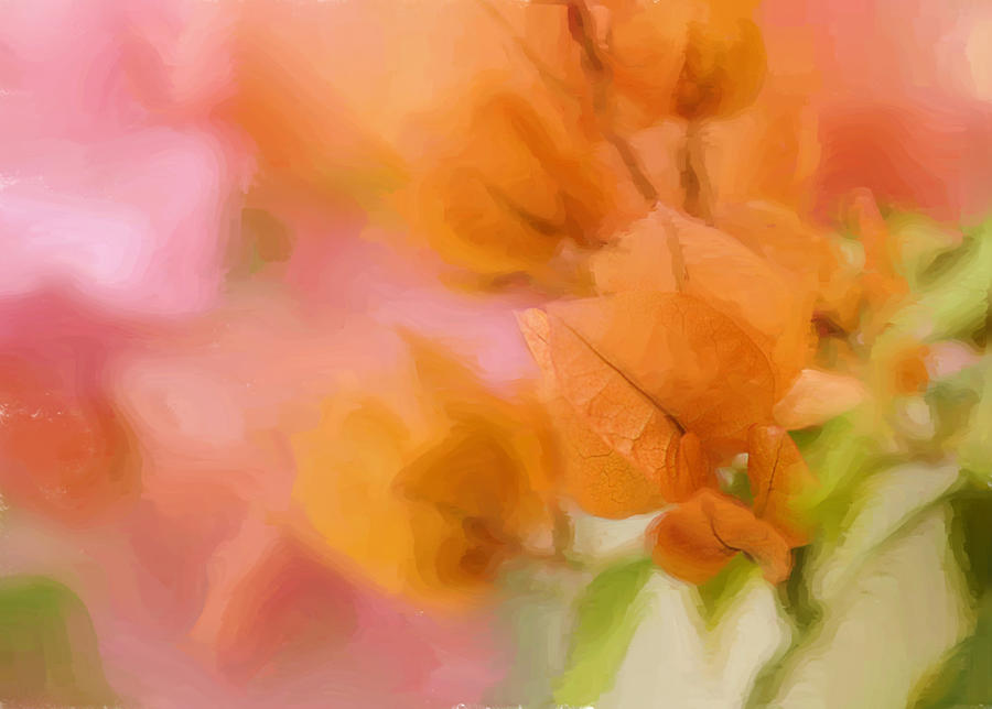 Orange Flowers at Botanical Gardens in Bronx Digital Painting Digital Art by Cordia Murphy