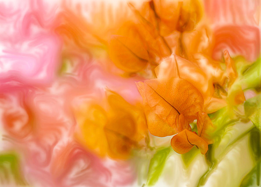 Orange Flowers at Botanical Gardens in New York City Digital Art Digital Art by Cordia Murphy