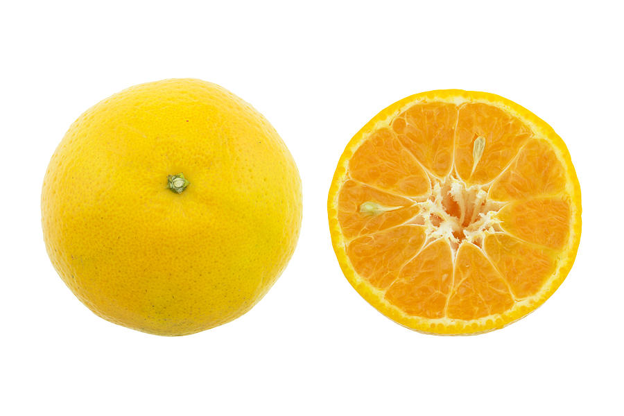 Orange fruit isolated on white background. Photograph by Ismode