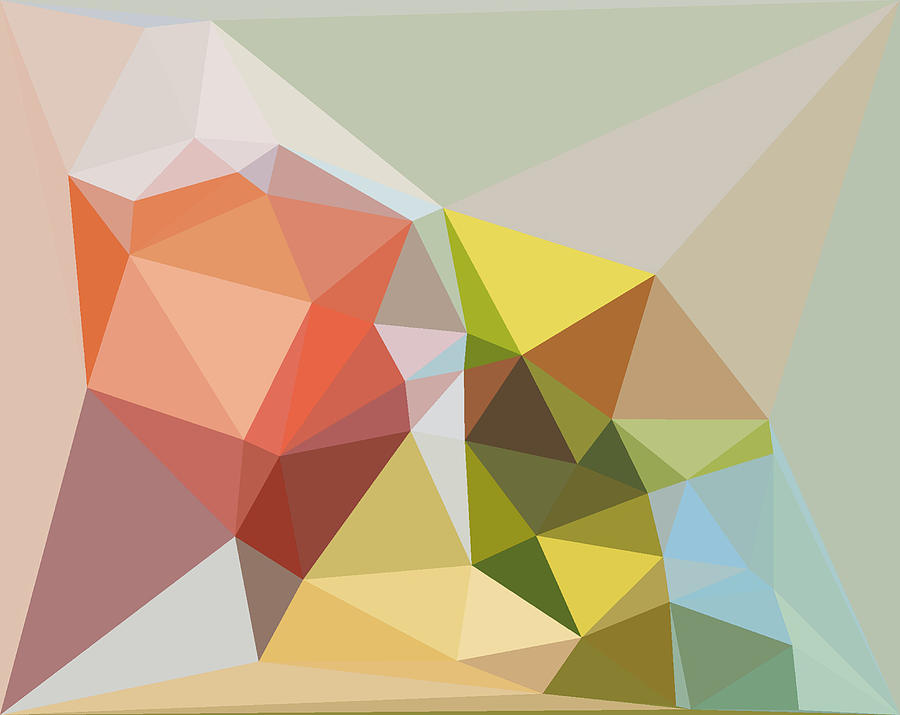 Orange Fruit - Triangulation Digital Art by Themayart