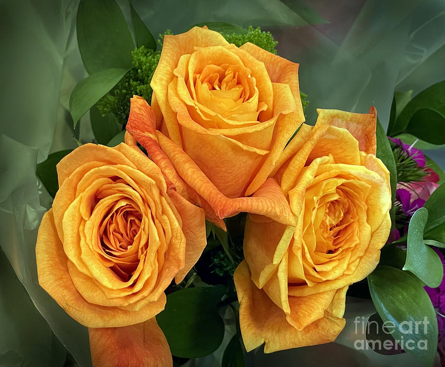Rose Photograph - Orange-golden roses. 3 sisters by Sofia Goldberg