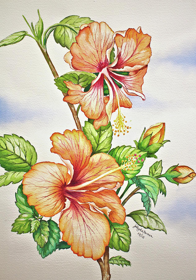 Flower Painting - Orange Hibiscus Flower by Jelly Starnes
