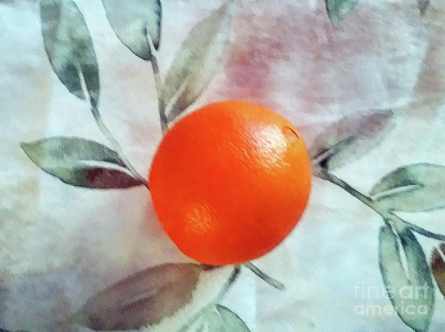 Orange I see Photograph by Rita Brown