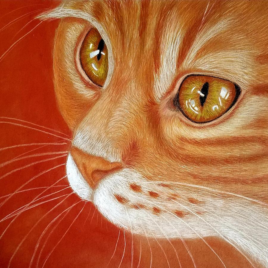 Orange Kitty Drawing by Lorraine Foster