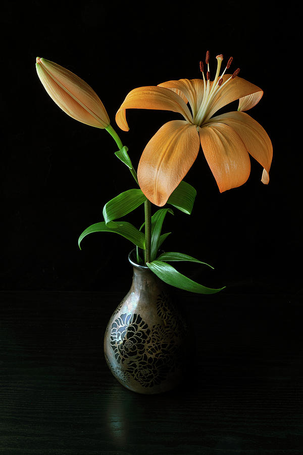 Orange Lily In Vintage Vase Still Life Art Photo Photograph