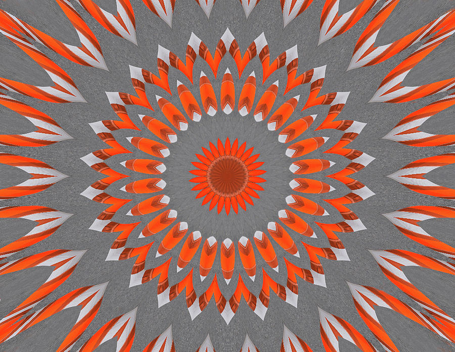 Orange mandala 1 --- bob-mcdonnell.pixels.com Digital Art by Bob McDonnell