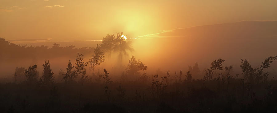 Orange Mist Photograph by Erik Tanghe