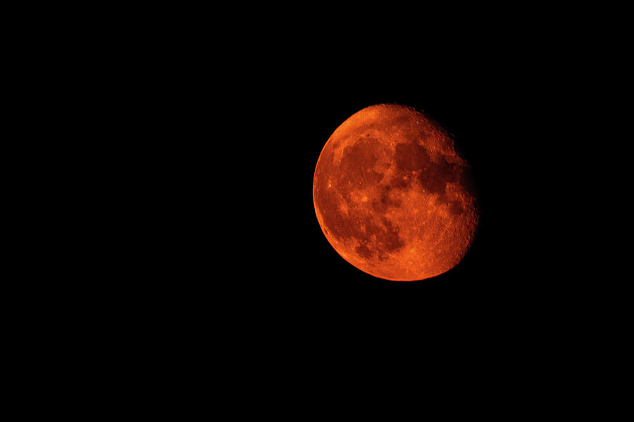 Orange Moon Photograph by Denise Kopko