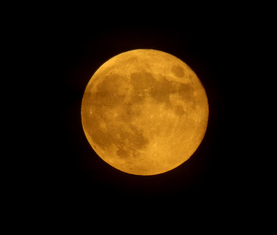 Orange Moon Photograph By Gyula Gvardian Pixels