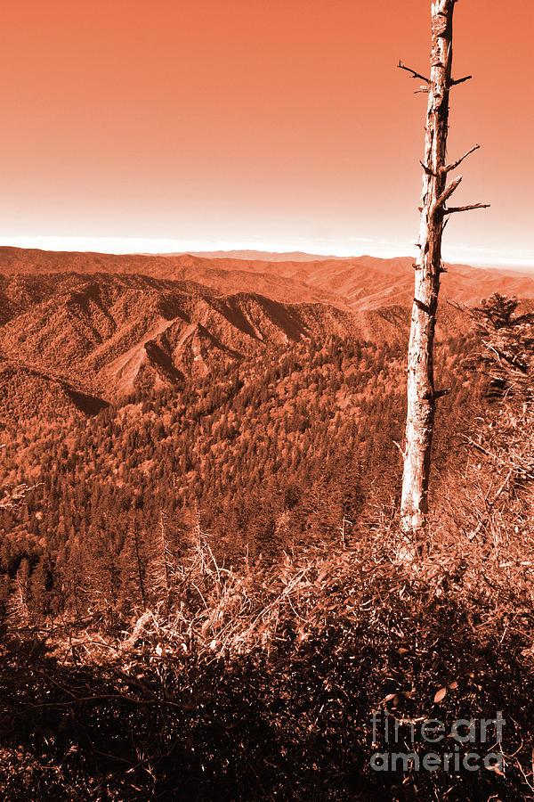 Orange Mountain Landscape Digital Art by Phil Perkins