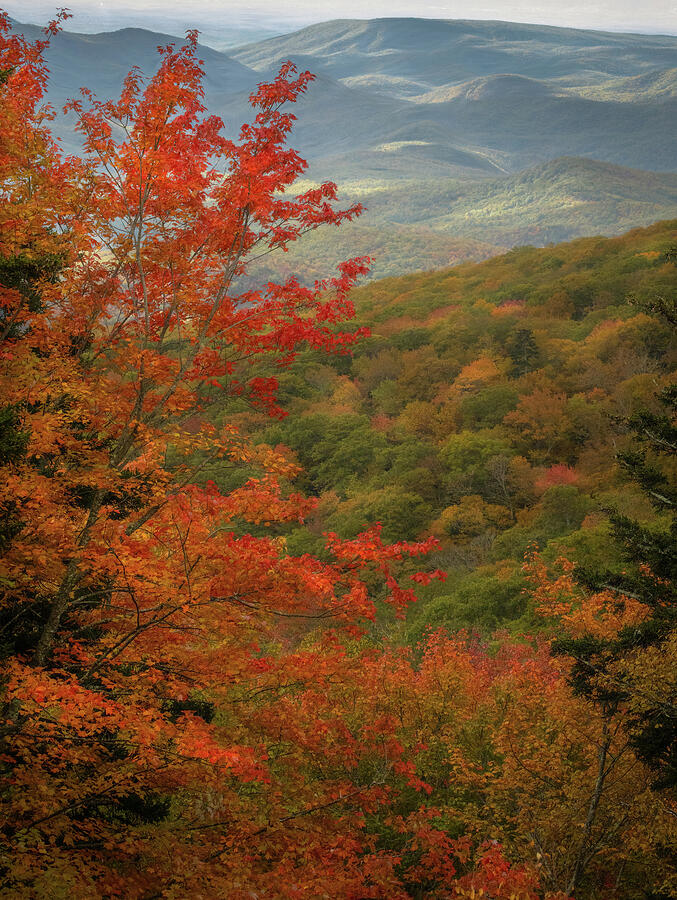 Orange On The Blue Ridge Photograph by Dodie Ross Orange On The Blue Ridge Photograph by Dodie Ross
