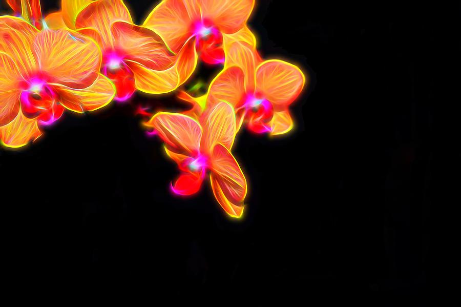 Orange Orchid Abstract Photograph