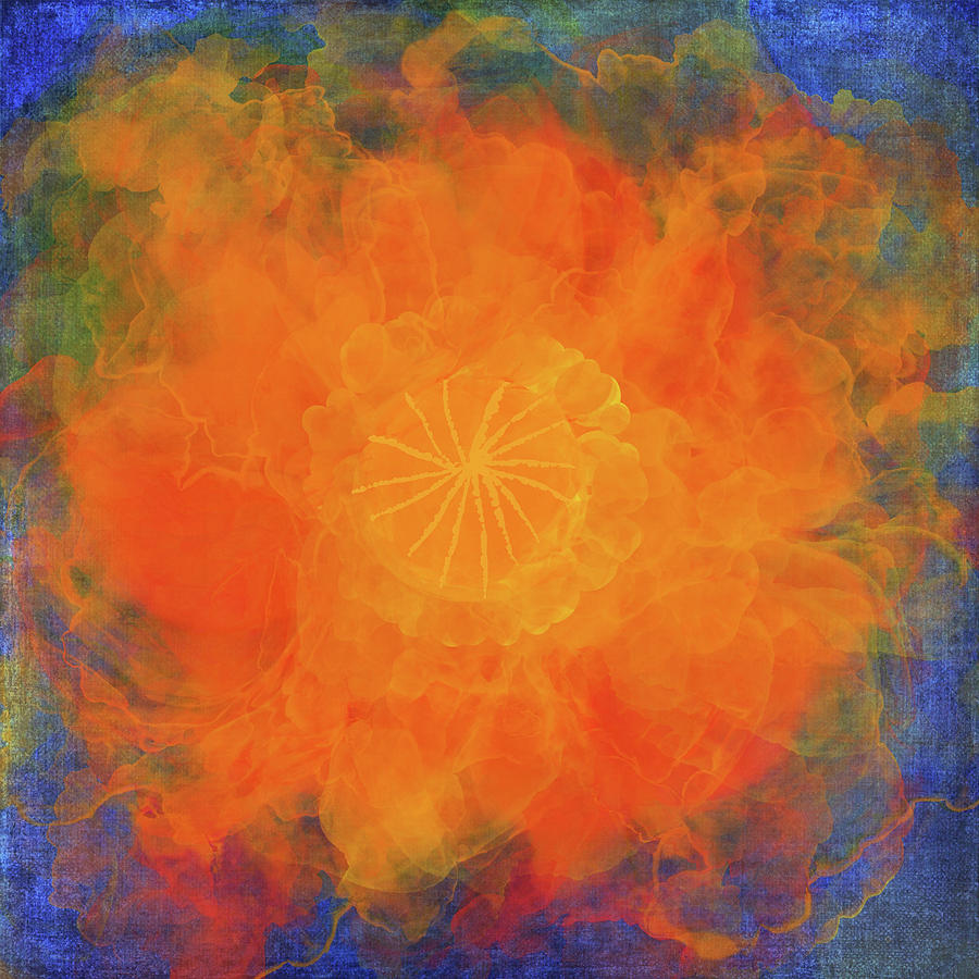 Orange Oriental Poppy on Blue Digital Art by Peggy Collins