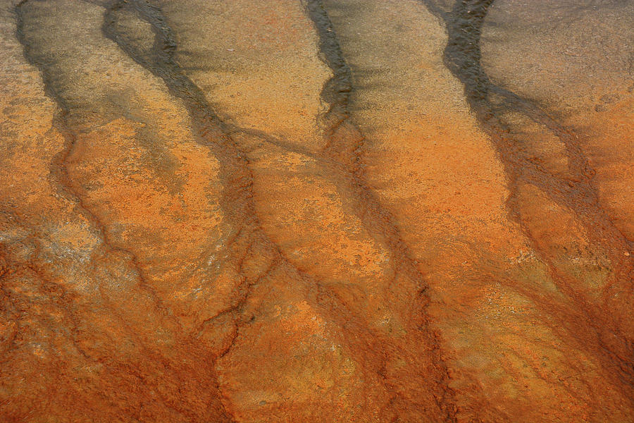 Orange Part of Grand Prismatic Spring 1 Photograph by Raymond Salani III