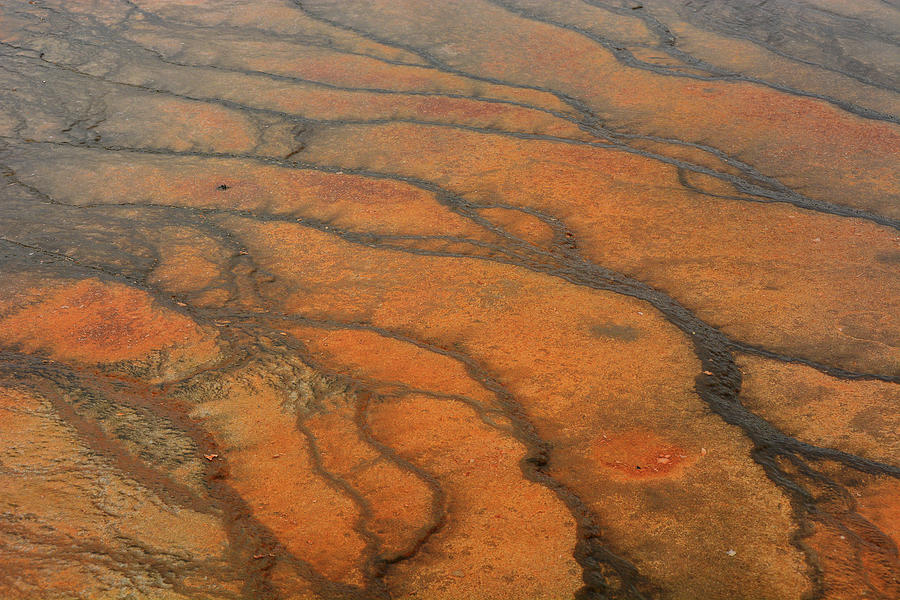 Orange Part of Grand Prismatic Spring 3 Photograph by Raymond Salani III