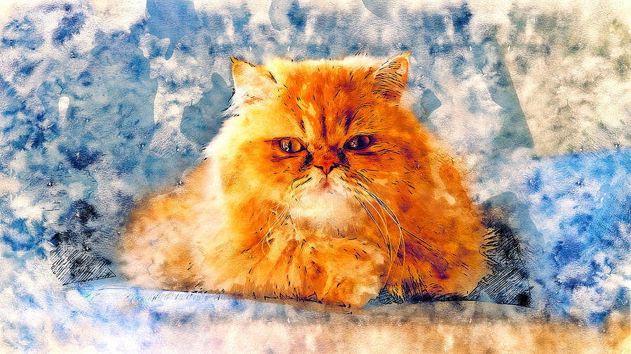 Orange Persian cat looking at you - pen and watercolor Digital Art by Nicko Prints