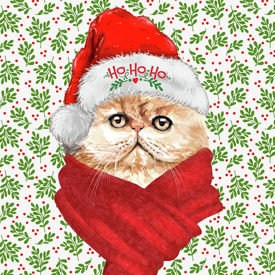 Orange Persian Christmas Cat Digital Art by Doreen Erhardt