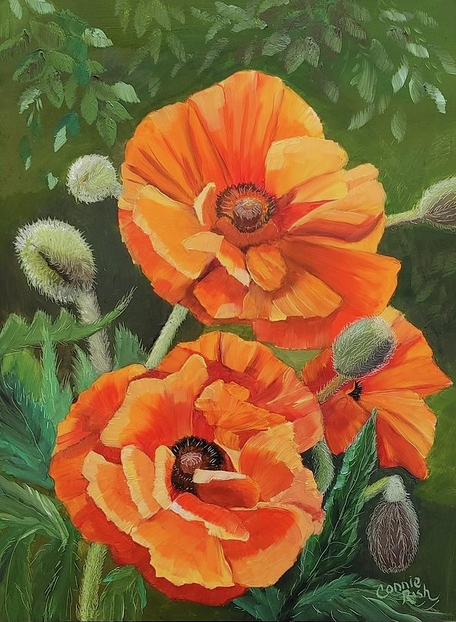 Orange Poppies Painting by Connie Rish