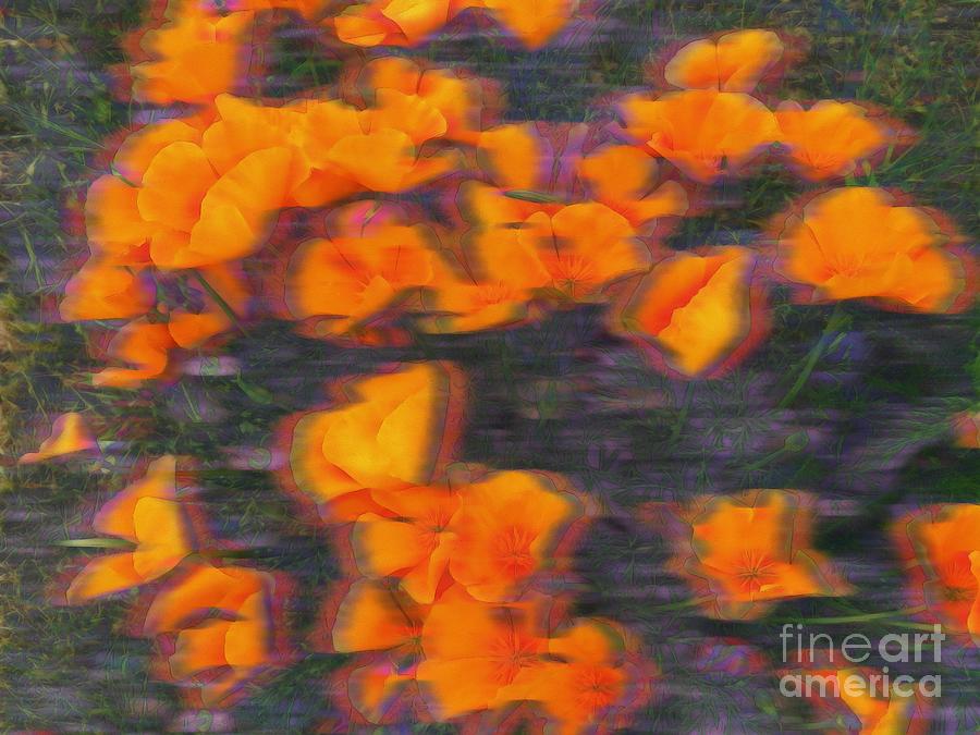 Orange Poppies In The Wind Photograph