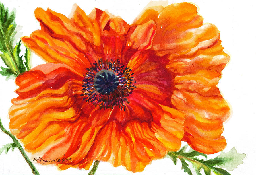 Orange Poppy II Painting by Patricia Allingham Carlson - Fine Art America