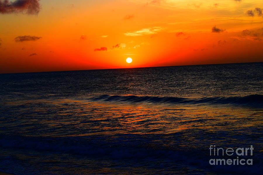 Orange Radiance Photograph by Brianna Barrett - Fine Art America