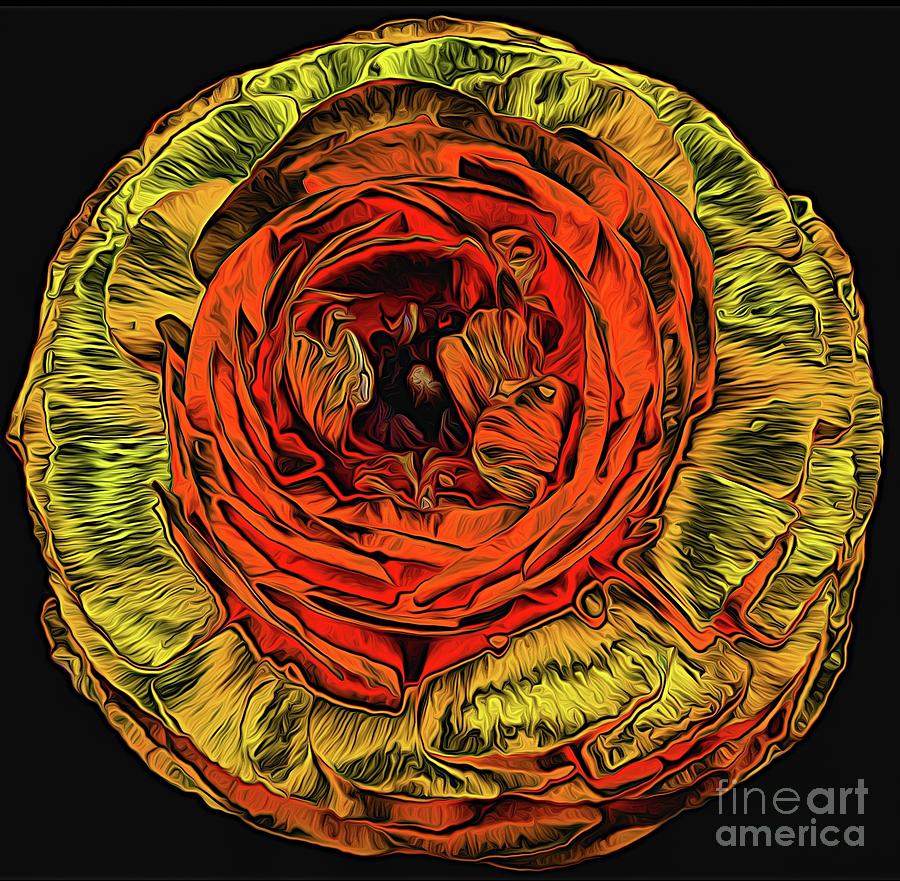 Nature Photograph - Orange Ranunculus Flower Chrome Expressionist Abstract by Rose Santuci-Sofranko
