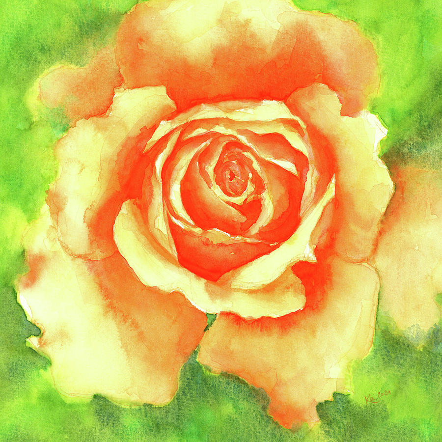 Orange Rose blossom in a square Painting by Karen Kaspar