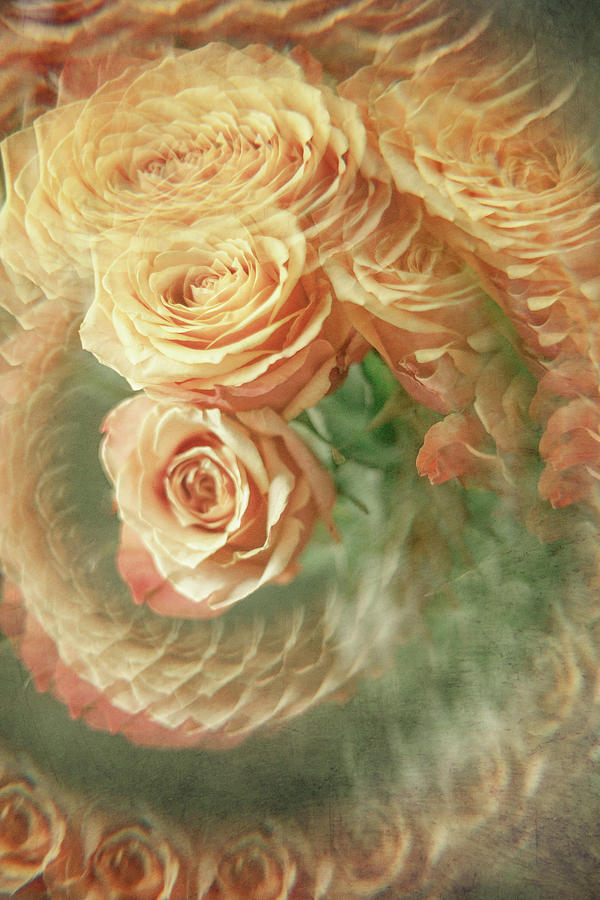 Orange Roses in a Swirling Photograph by Iris Greenwell