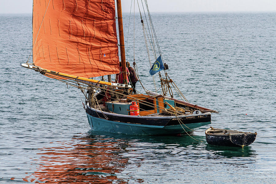 Orange sails  Photograph by Shirley Mitchell