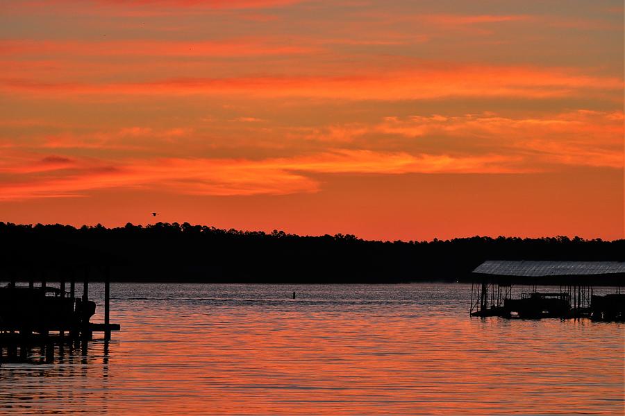 Orange Sky Ropes Sunrise Photograph by Ed Williams