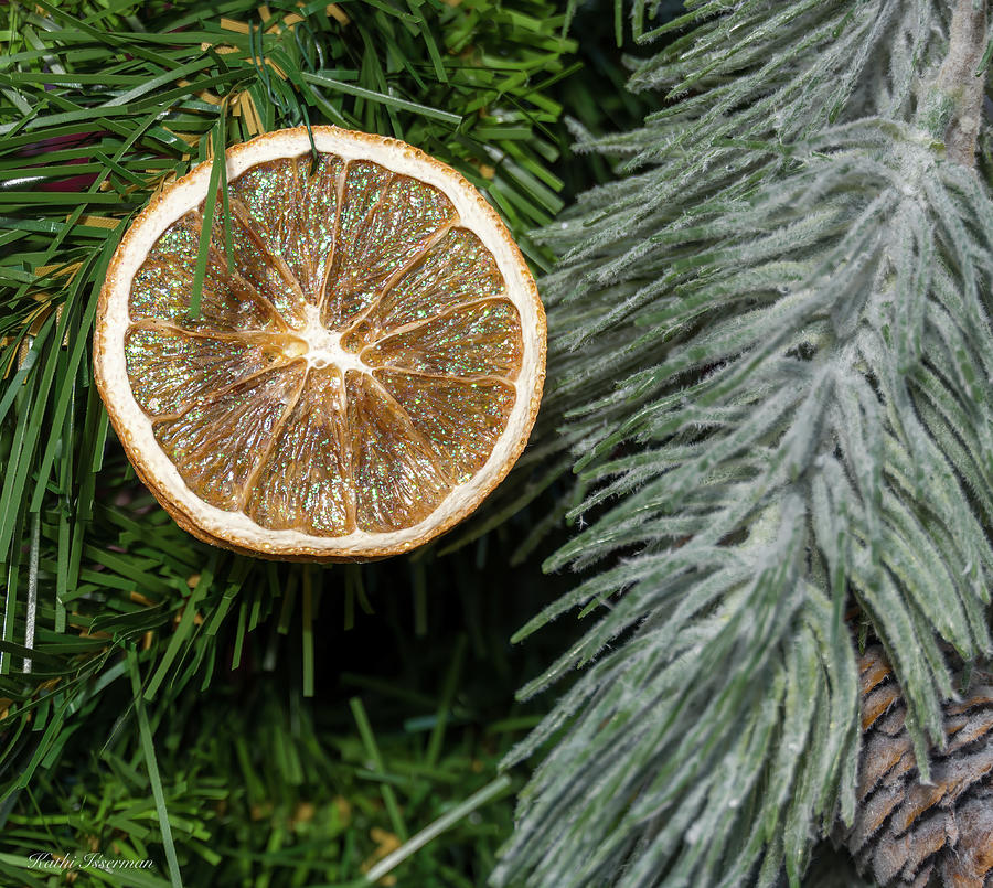 Orange Slice Ornament Photograph by Kathi Isserman