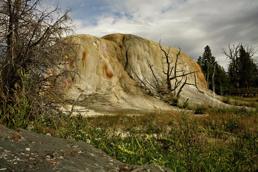 Orange Spring Mound Photograph