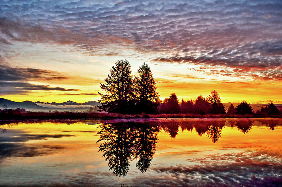 Tree Photograph - Orange Sunrise 1 - Tillamook - Oregon by Jack Andreasen