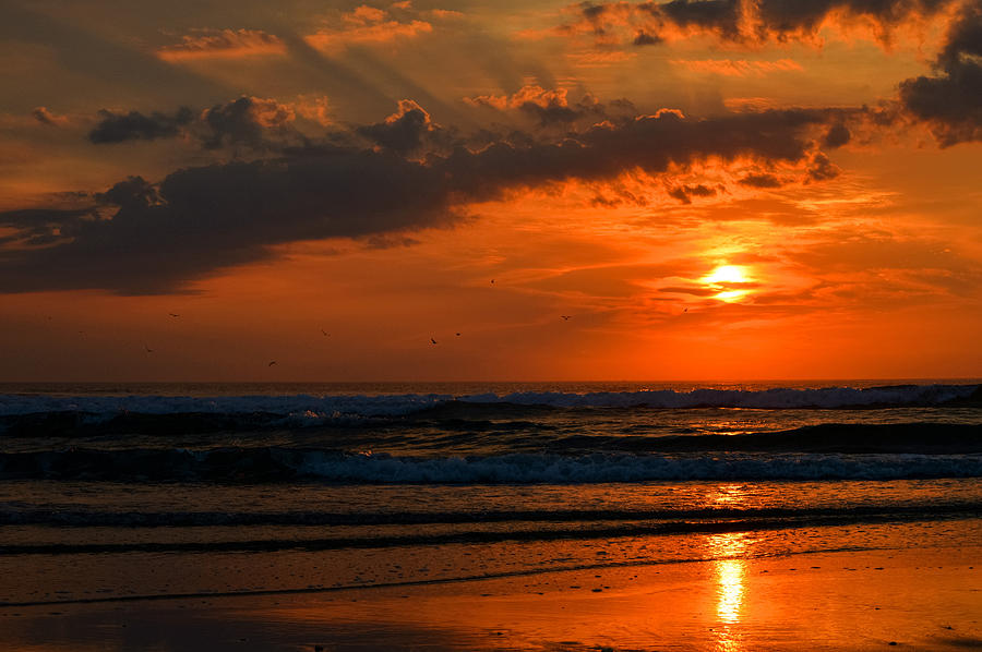 Orange Sunrise Explosion Photograph by Dianne Cowen Cape Cod Photography
