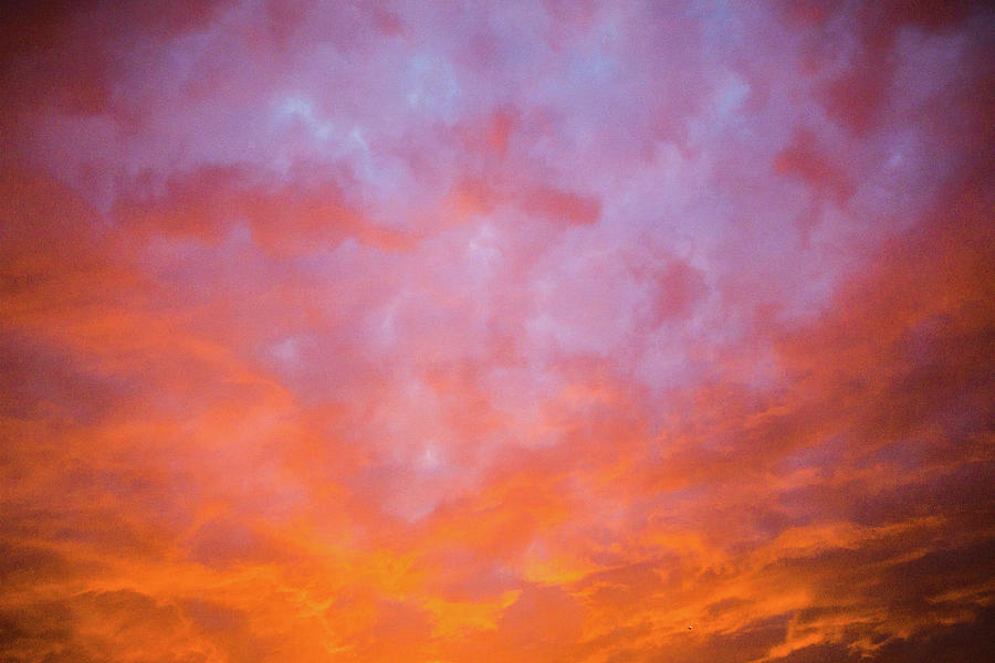 Orange Sunrise Photograph by SR Green