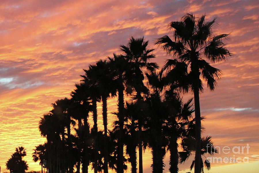 Orange Sunset in Daytona Beach Photograph by Dodie Ulery