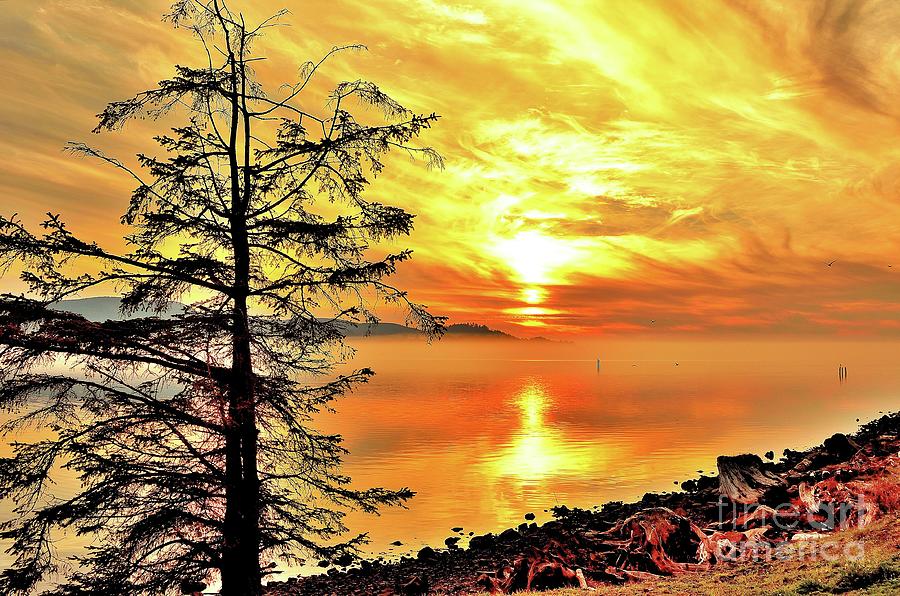 Orange Sunset Hot Shot Photograph by Jack Andreasen - Fine Art America