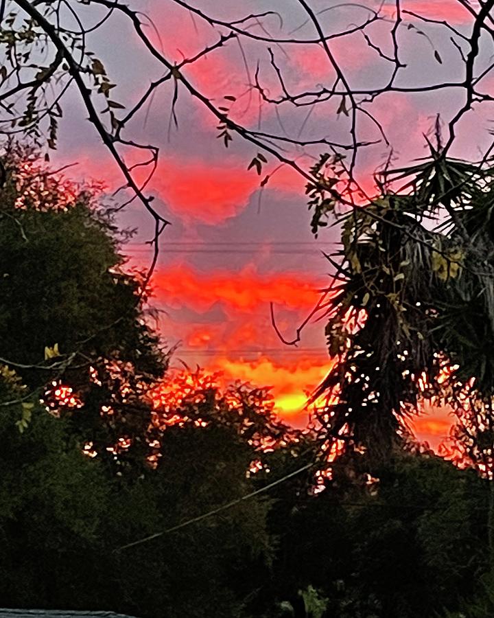 Orange Sunset Photograph by Sonya Catania