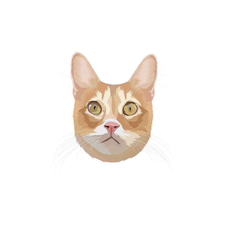 Orange Tabby Cat Illustration Art Digital Art by The Bad Kitty Co ...