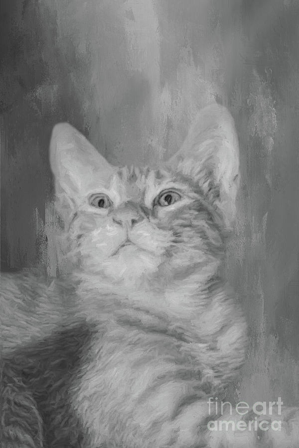 Cat Photograph - Orange Tabby Kitten Two BW by Elisabeth Lucas