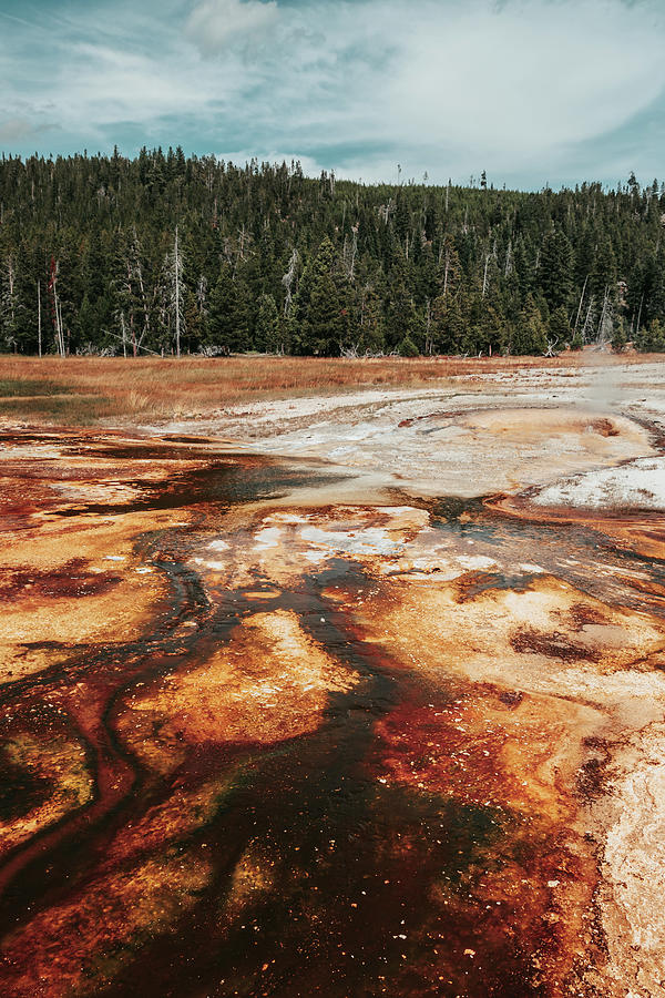 Yellowstone National Park Photograph - Orange Thermal Springs by Bella B Photography