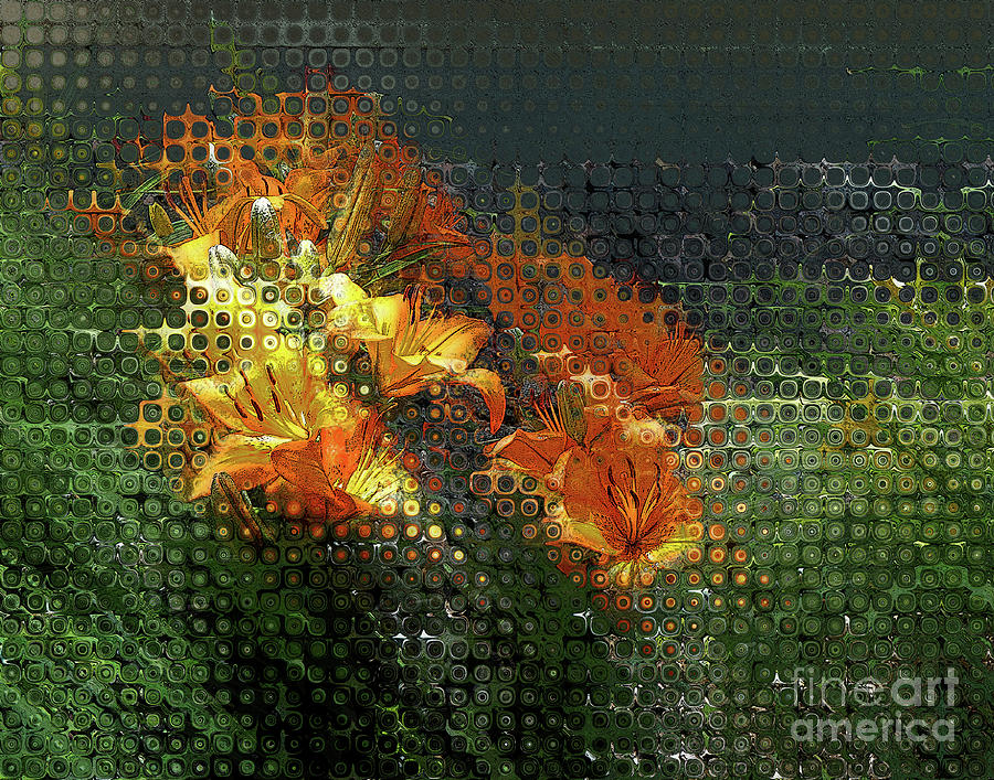 Orange Tigerlily Bubbles Digital Art by Deb Nakano