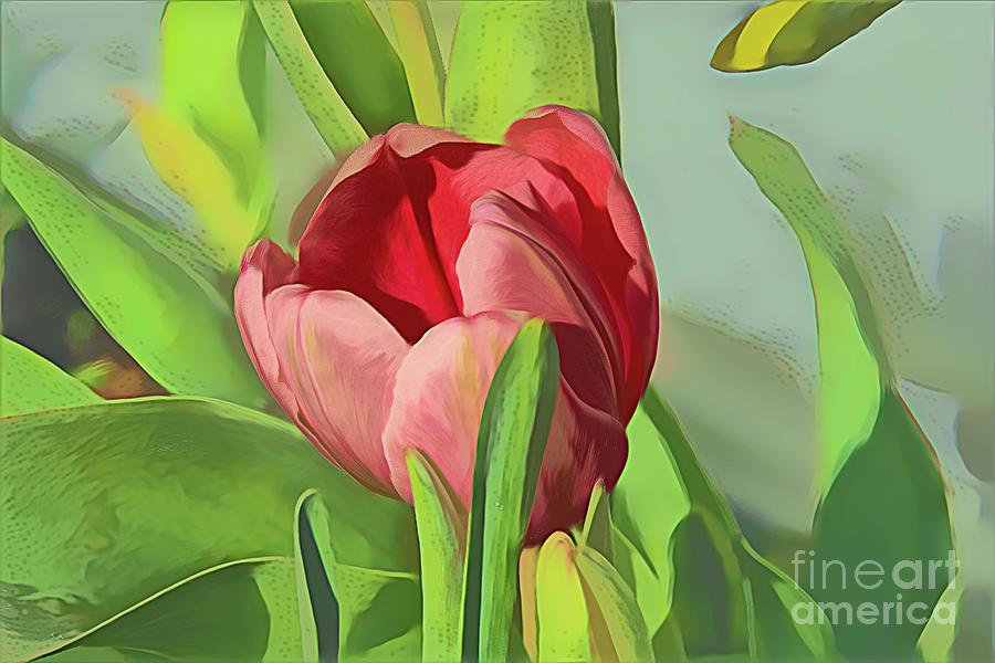 Orange Tulip in Watercolor Photograph by Diana Mary Sharpton