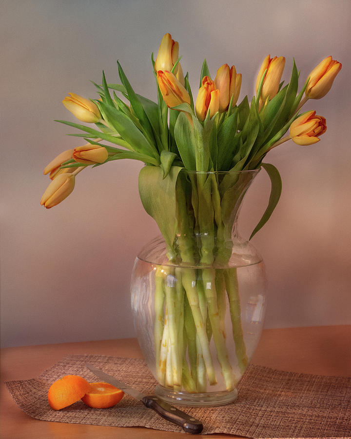 Orange Tulips Still life Photograph by Ann Bridges