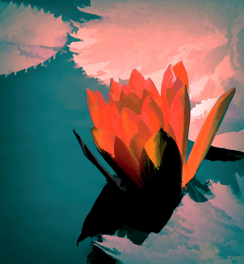 Orange Water Lily Mixed Media by Rosalie Scanlon